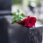 Роза на памятнике