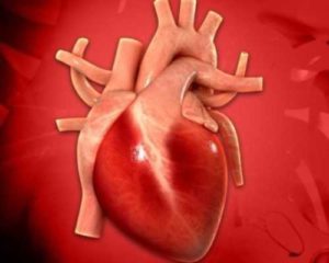 Реабилитация больных