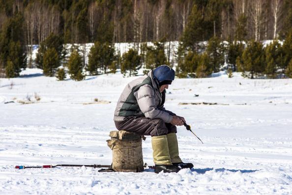 Какая рыба водится в Ангаре