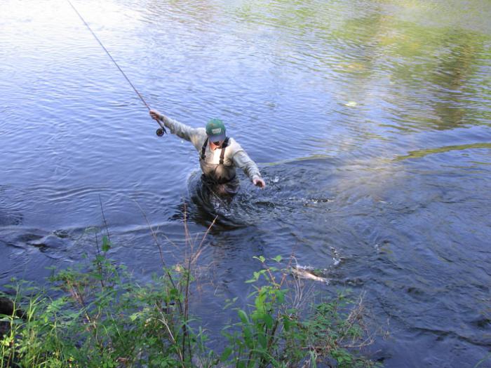 Платная рыбалка