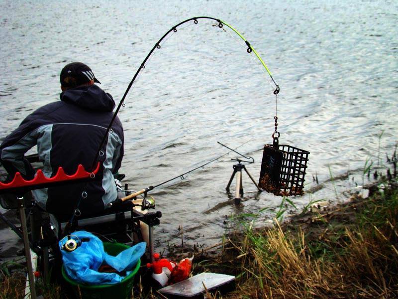 Городская рыбалка на днепре — ловля на фидер