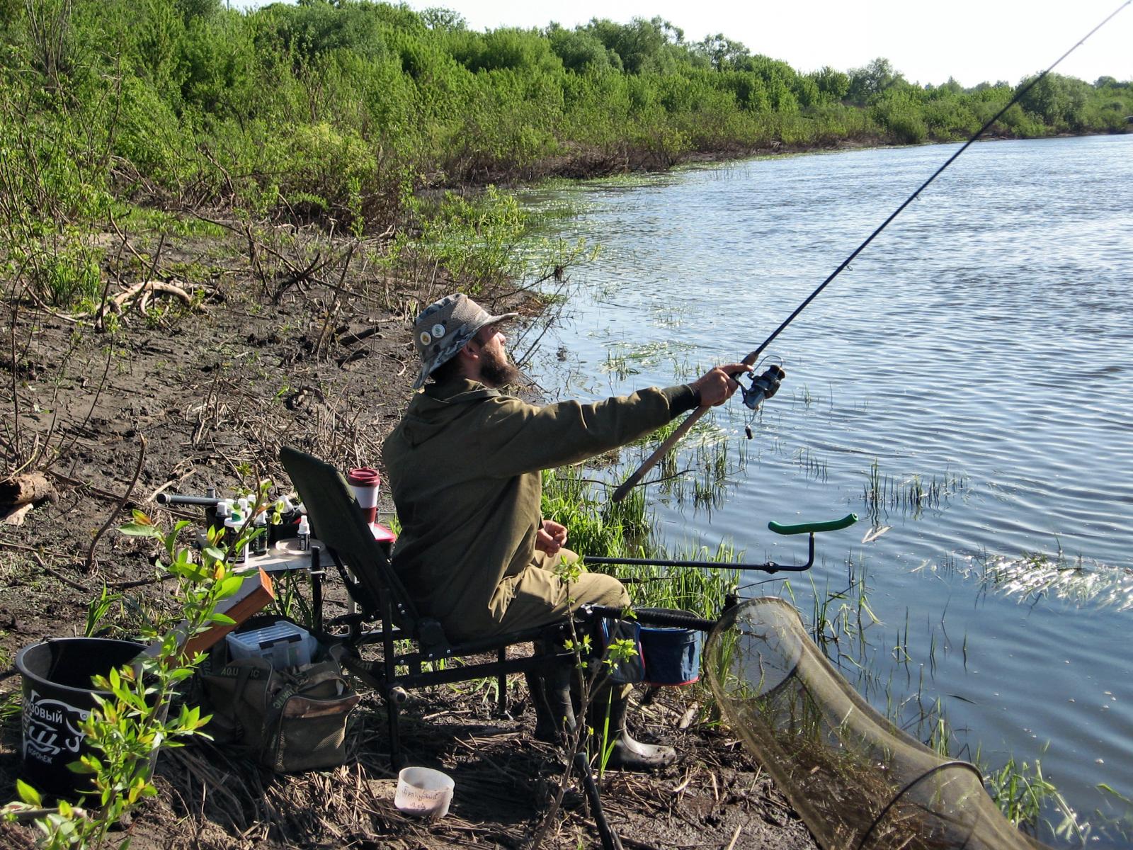 Летняя рыбалка на фидер. Фидерная рыбалка. Ловля на фидер. Фидер рыболов. Фидерное удилище на природе.