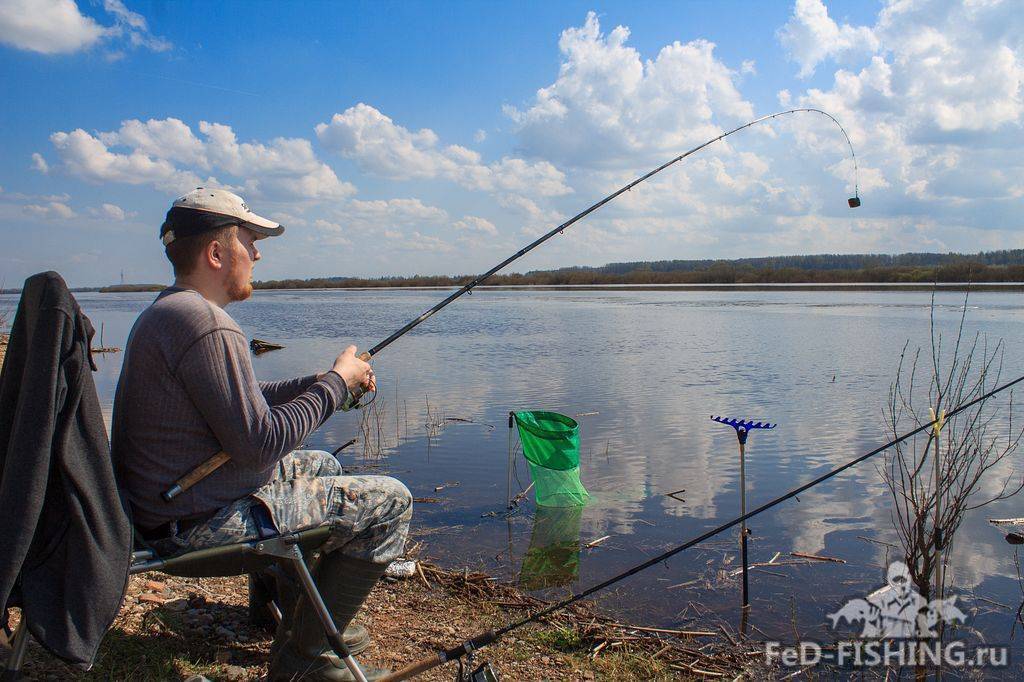 Городская рыбалка на днепре — ловля на фидер