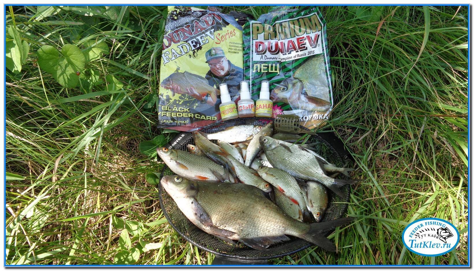 Ловля леща на днепре &raquo; тихий омут