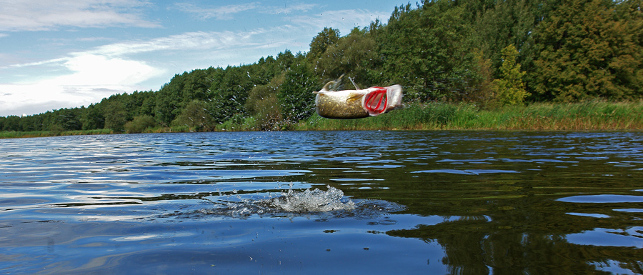 Рыбалка в Калининградской области сегодня
