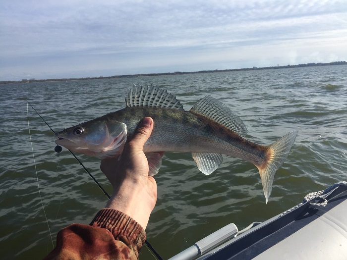 Рыбалка в Калининградском заливе