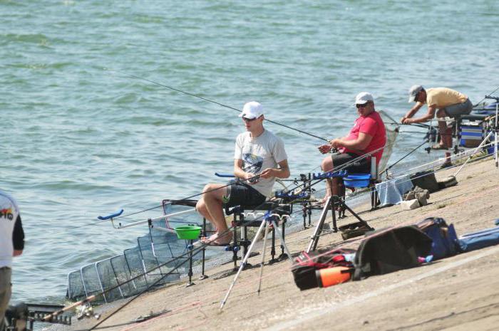 Рыбалка в Липецком районе