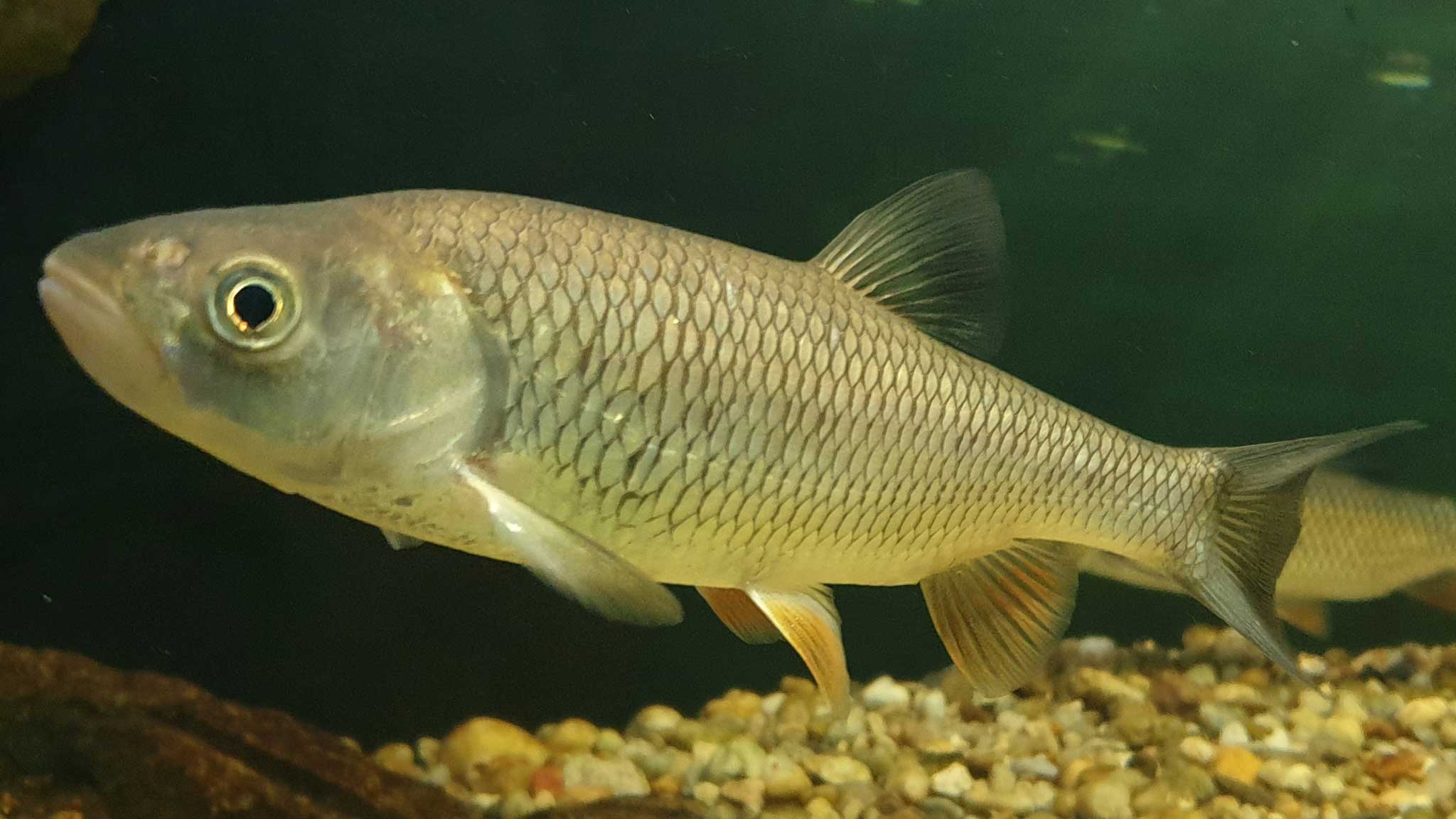 Рыбалка московская область. Подбор лучших мест.