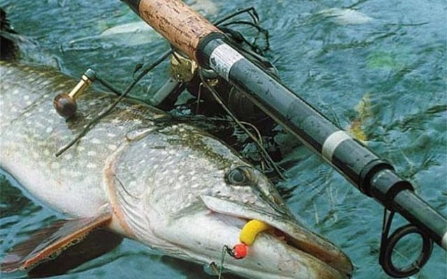 Рыбалка в набережных челнах