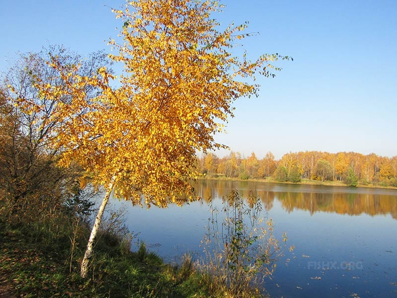 Рыбалка поздней осенью