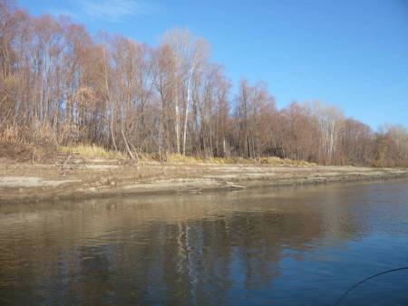 Рыбалка осенью на щуку в октябре. Сузунском район река Обь.