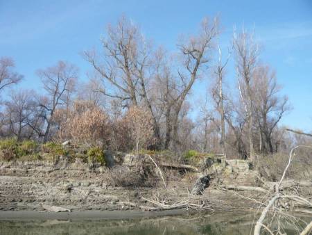 Популярными местами стоянки щуки, где она активно кормится.