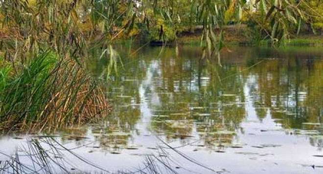 Ярославская область