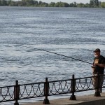 Селёдка пошла. Рассказываем, как и где ее ловить