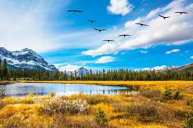 Рыболовная погода