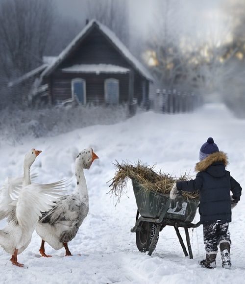 Сретение Господне