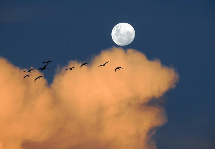 Новости рубрики Общество