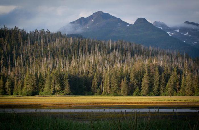 влияние климата на человека