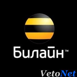 Тариф Beeline для 4G модема с ночным безлимитом