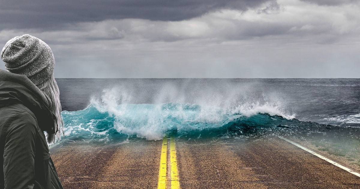 Влияние изменения климата на живую природу