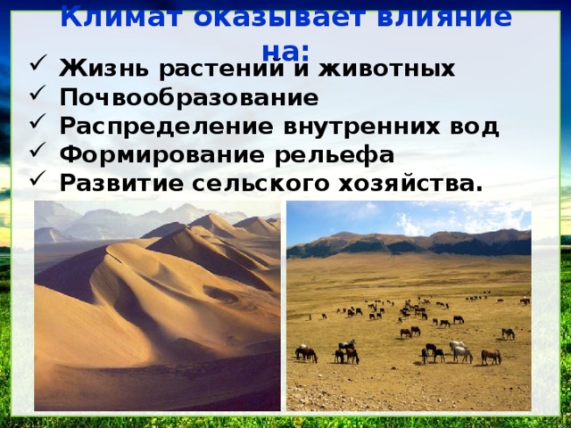 Климат оказывает влияние на: Жизнь растений и животных Почвообразование Распределение внутренних вод Формирование рельефа Развитие сельского хозяйства. 