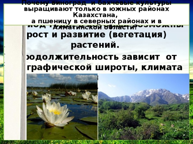 Почему виноград и бахчевые культуры выращивают только в южных районах Казахстана, а пшеницу в северных районах и в Алматинской области? Вегетационный период - период года, в который возможны рост и развитие (вегетация) растений. Продолжительность зависит от географической широты, климата (на севере он короче, на юге длиннее). 
