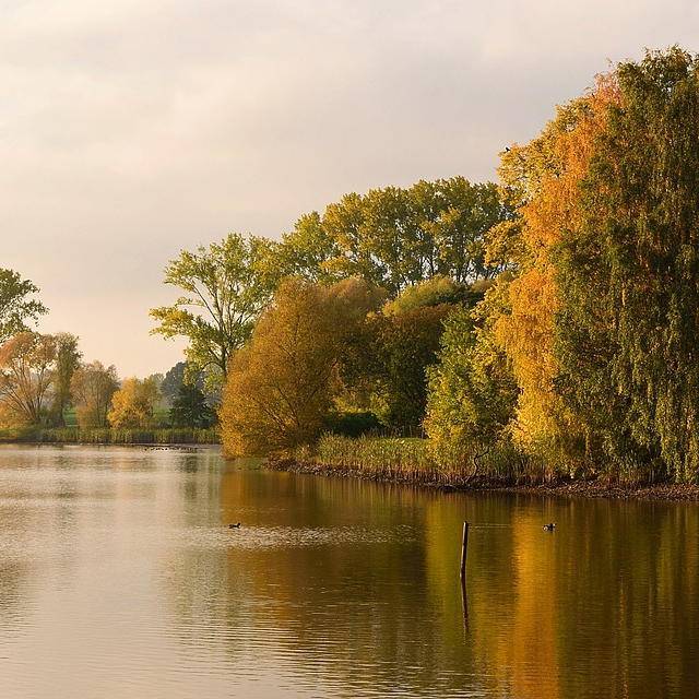 Влияние погоды на клев рыбы