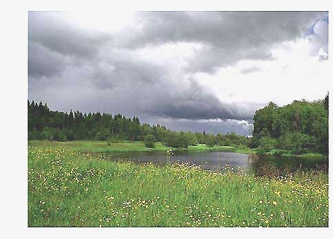 Пасмурная погода причина плохого клева рыбы фотография