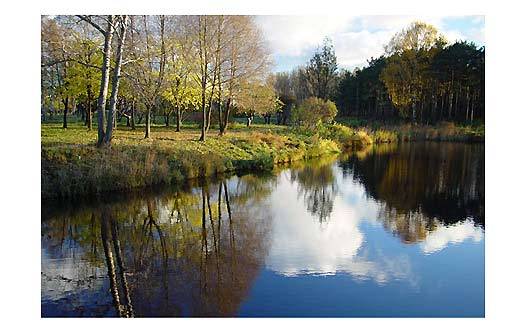 Солнечная погода весной улучшает клев рыбы фотография