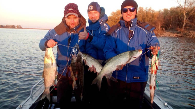 Когда лучше ловить рыбу 