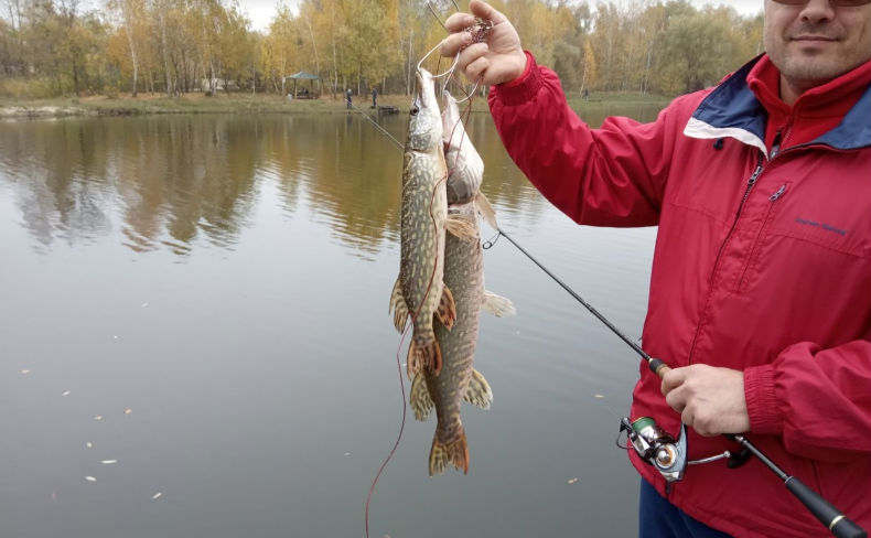 Билет в клуб рыбаков &laquo;Королек&raquo; – и вы ловите рыбу, не выезжая из города