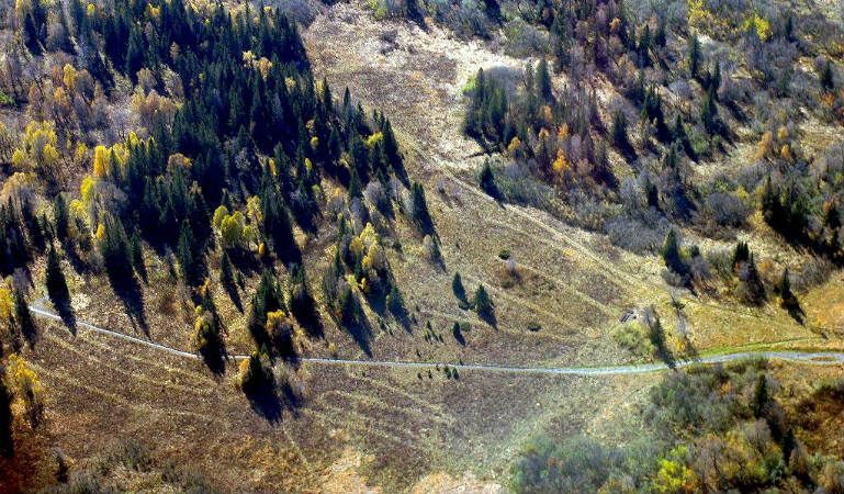 Геоглиф Лось