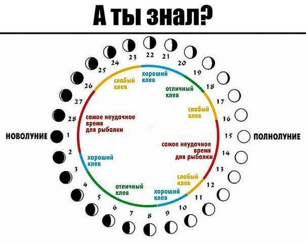 Положительное влияние атмосферного давления на рыбалку