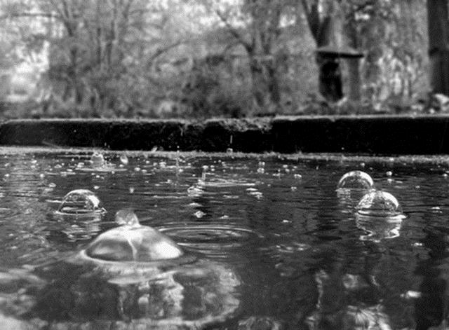 Атмосферное давление для рыбалки: влияние изменений погоды на клев