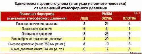 При каком давлении клюет карась и как оно влияет на его поведение