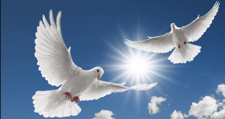 Благовещение в 2020 году: приметы, поверья, что можно и что нельзя делать