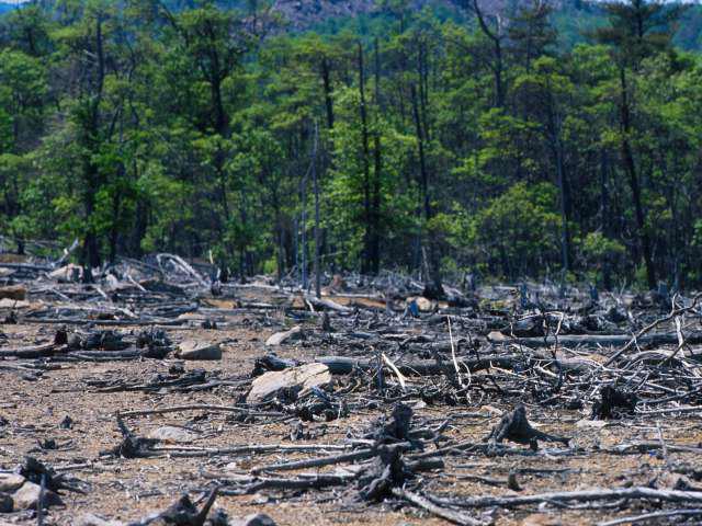 экологические проблемы водных объектов красноярского края