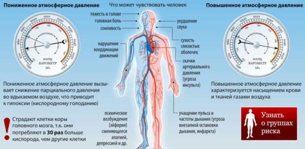 Метеочувствительность