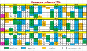 Прогноз активности