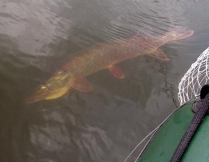 Другие факторы