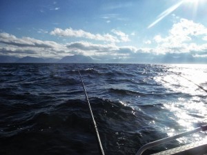 Для удачной рыбалки нужен ветер