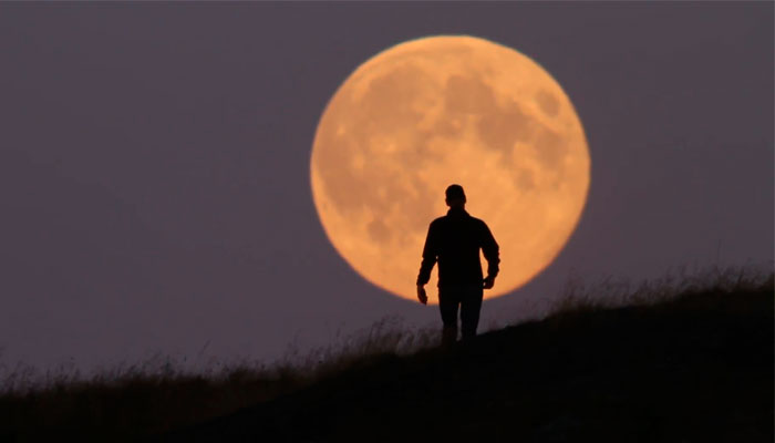 Как полнолуние влияет на мужчин
