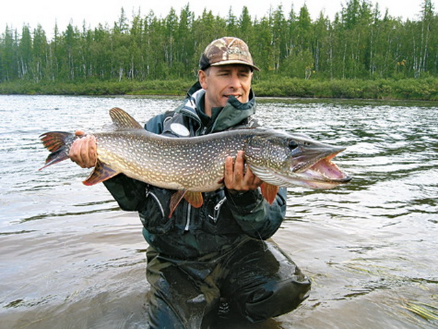 Как поймать щуку в дождь 2