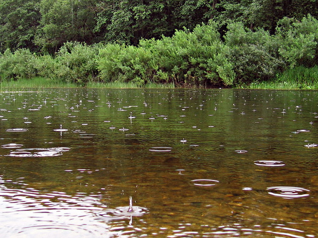 Как поймать щуку в дождь А