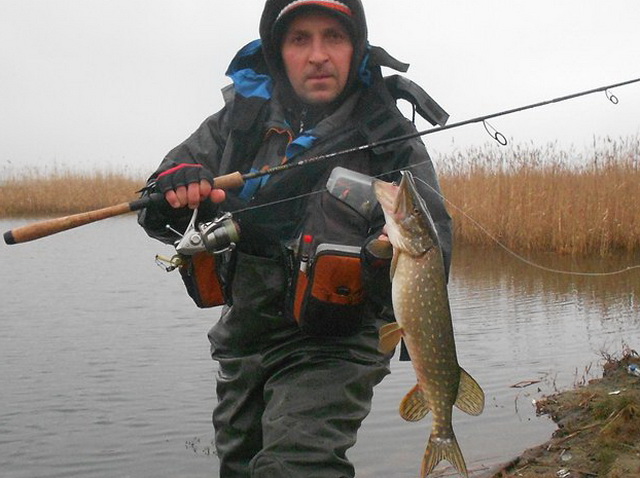 Как поймать щуку в дождь 6