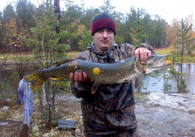 Как поймать щуку в дождь 4