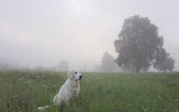 Какая будет зима? Народные приметы о погоде зимой