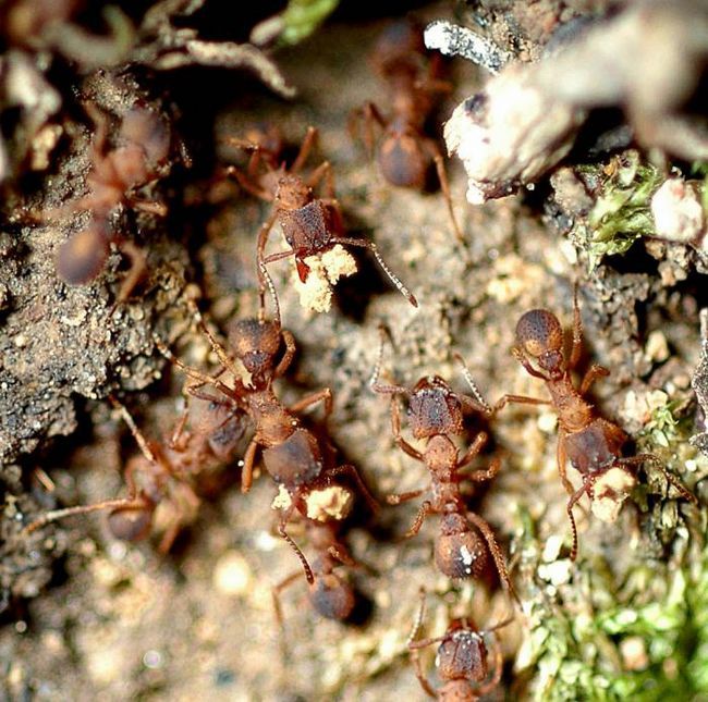 приметы хорошей и плохой погоды