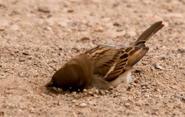 какие есть приметы погоды 