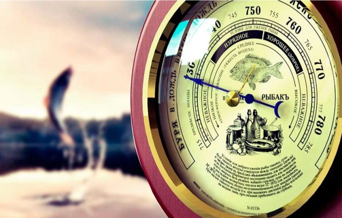 Влияния атмосферного давления на рыбу